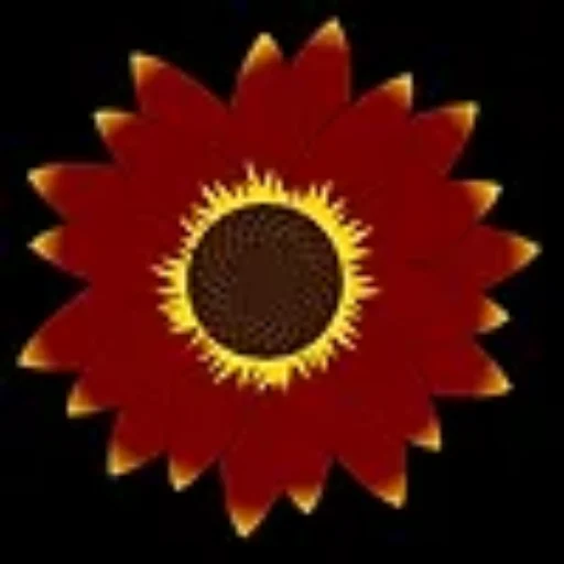 Red Sunflower logo featuring a stylized red sunflower with a yellow center on a black background.